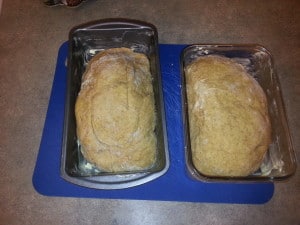 Sugar Free Bread - Part Eight