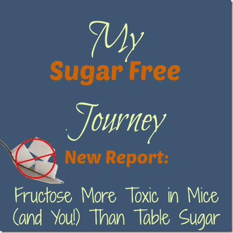 New Report Fructose More Toxic In Mice and You Than Table Sugar