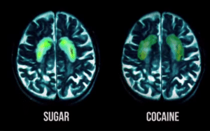 Sugar Vs Cocaine