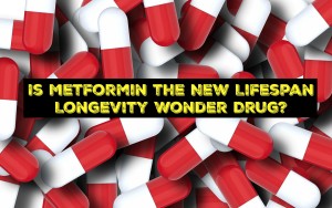 Is Metformin the New Lifespan Longevity Wonder Drug?