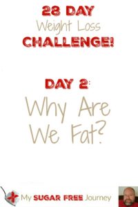 Day 2: Why Are We Fat?