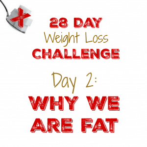 Day 2: Why Are We Fat?