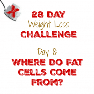 Day 8: Where Do Fat Cells Come From?