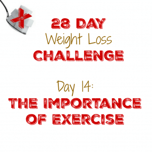 Day 14: The Importance of Exercise