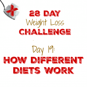 Day 19: How Different Diets Work