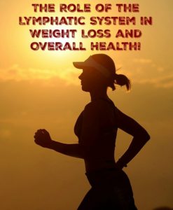 The Role of the Lymphatic System in Weight Loss and Overall Health!